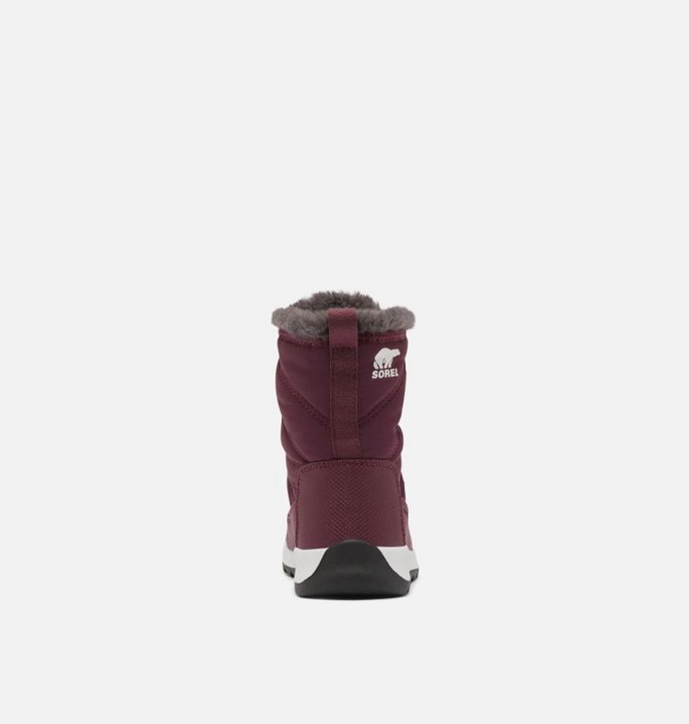 Kids Snow Boots Purple - Sorel Youth Whitney™ II Short Lace - 432196-YMS